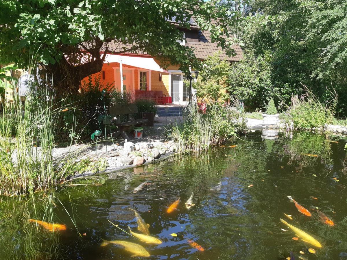 Salus Spreewald - Erholung & Natur - Kolonie  Exterior foto